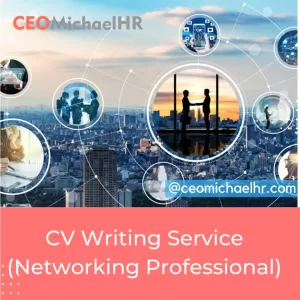 Professional CV Writing Service (Networking Professional)