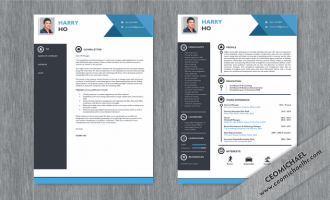 CEO Michael Resume and cover sample