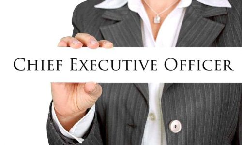 chief executive officer resume template