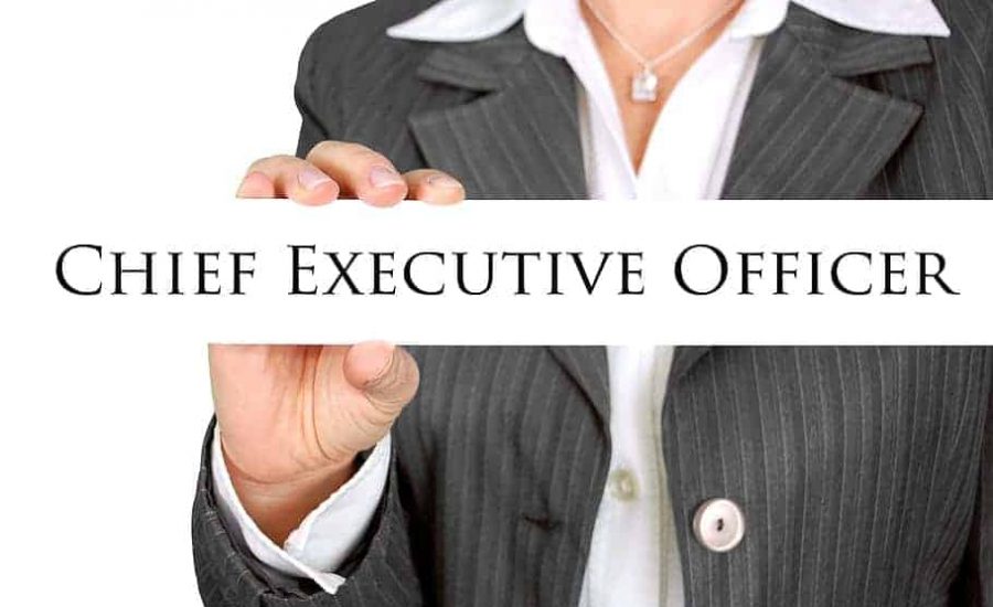 chief executive officer resume template